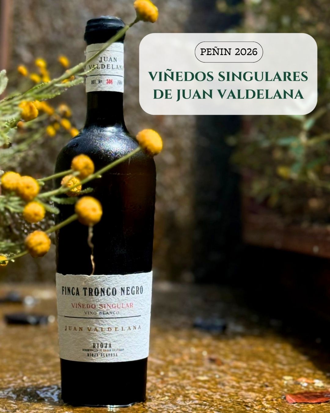 Artículo Guía Peñín 2026